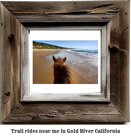 trail rides near me in Gold River, California